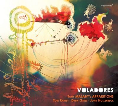 pochette de l'album Voladores de Tony Malaby quartet 
une peinture riche ne couleurs chaudes 
