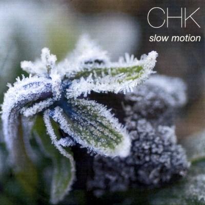 une plante grasse recouverte de givre... la pochette du disque Slow Motion du groupe CHK